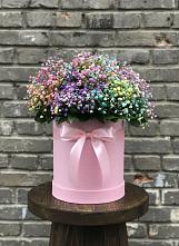 Цветочная композиция из Гипсофила и Розы в шляпной коробке #REPLACE_PRED# Кубанской