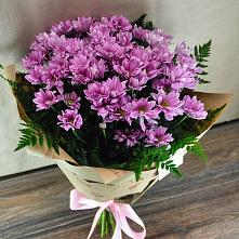 Букет цветов из:  Хризантемы #REPLACE_PRED# Кубанской