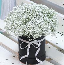 Цветочная композиция из Гипсофила в шляпной коробке в Кубанской
